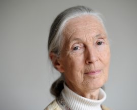 Dr Jane Goodall - Interesting Ideas - The world’s leading primatologist